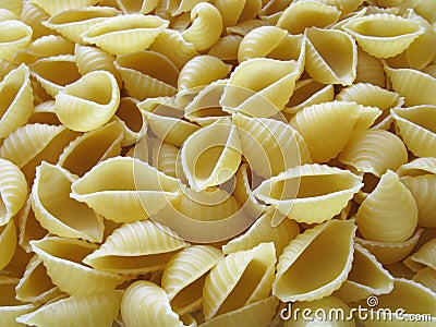 Pasta background. Pasta in form of shells. Stock Photo