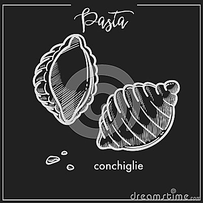 Pasta Conchiglie shell chalk sketch for Italian cuisine menu or packaging design on black background Vector Illustration
