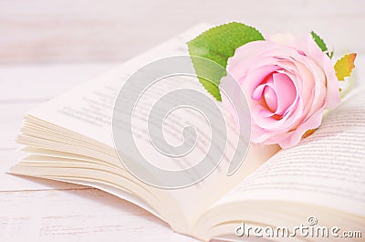 Pastel artificial rose and open book with vintage tone Stock Photo