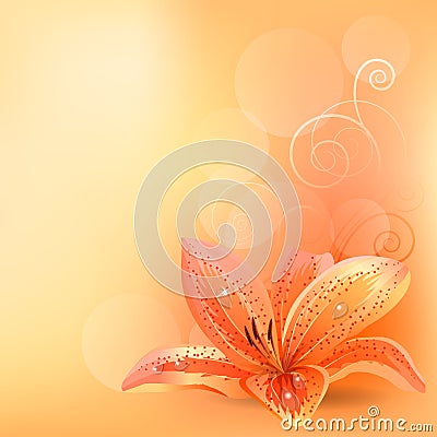 Pastel background with orange lily Vector Illustration