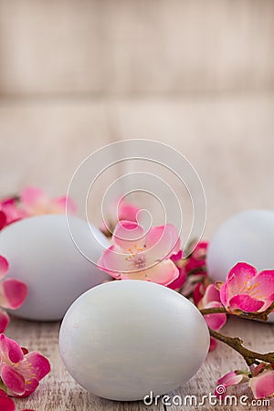 Pastel blue Easter eggs with Cherry blossom flowers Stock Photo