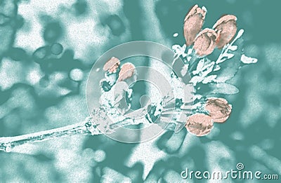 Pastel colors spring Stock Photo