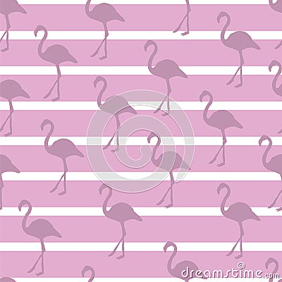 Pastel Flamingo Stripe Pattern Design Vector Illustration