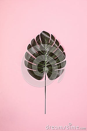 Pastel Pink Background with Singl Monstera Leaf Vertical Top View Tropical Summer Fashion Background Stock Photo