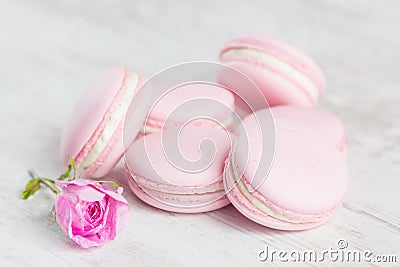 Pastel pink macaroons with rose Stock Photo