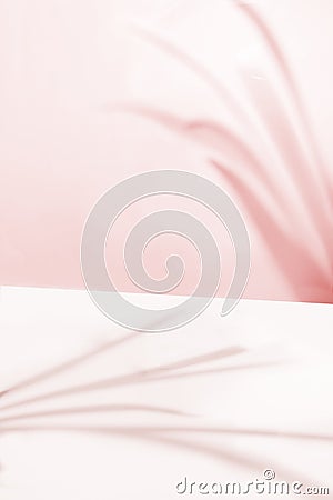 Pastel Pink Tonal Background with Natural Leaf Shadows Stock Photo