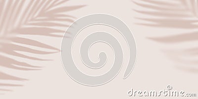 Pastel shadow Tropical Palm leaves on light pastel Background. Creative copyspace. Unobtrusive background with Shadow Stock Photo