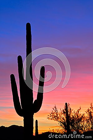 Pastel Sunset Stock Photo