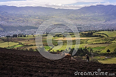 Man who plows the field near to San Juan de Pasto. Stock Photo