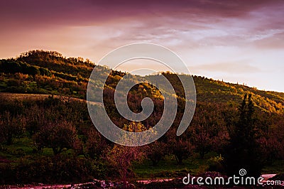 Pastoral Autumn Landscape Environment Stock Photo