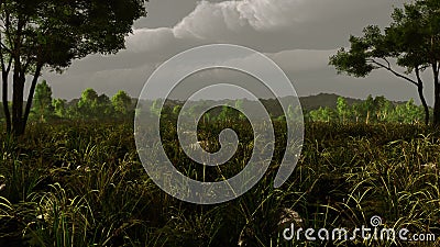 Pastoral Landscape Storm Stock Photo