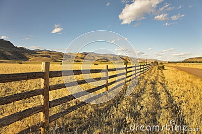 Pastoral midday. Stock Photo