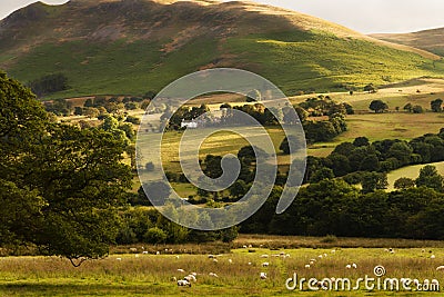 Pastoral Peace in Borrowdale, Lake District England Stock Photo