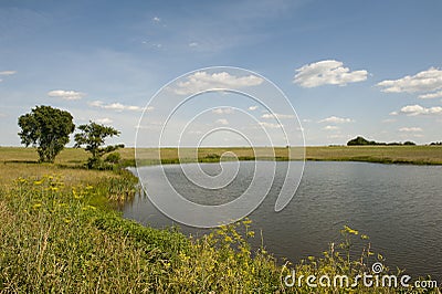 Pastoral pond Stock Photo