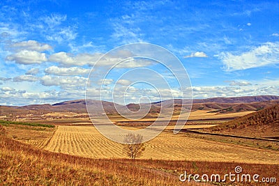 Pastoral scenery Stock Photo