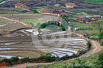 Pastoral scenery Stock Photo