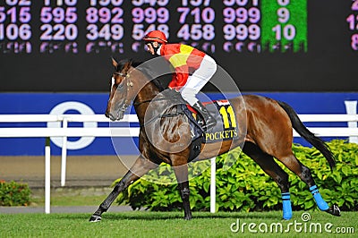 Pastorius at Singapore Airlines International Cup 2013 Editorial Stock Photo