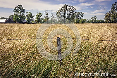 Pasturage in Poland, Mazowsze region Stock Photo