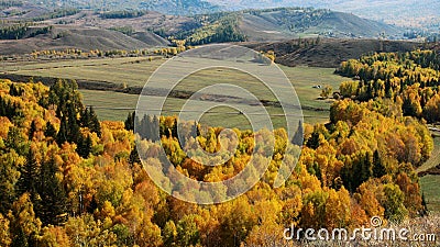 Pasture land Stock Photo