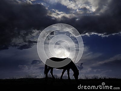 Pasture in the moonlight Stock Photo