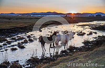 The pasture under the radiance of the setting sun Stock Photo