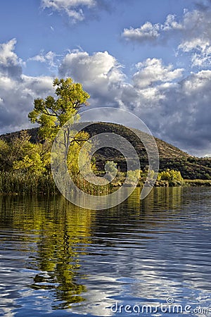 Patagonia Lake State Park Stock Photo