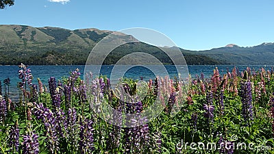 Patagonian landscape Stock Photo