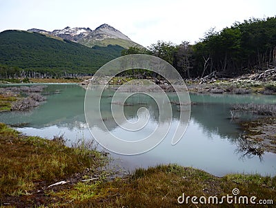 Patagonian landscape in tierra del fuego in argentina Stock Photo
