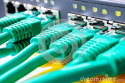 Patch cords green are inserted in all ports of the switch, the indication Stock Photo