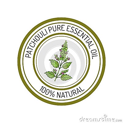 Patchouli, essential oil label, aromatic plant Vector Illustration