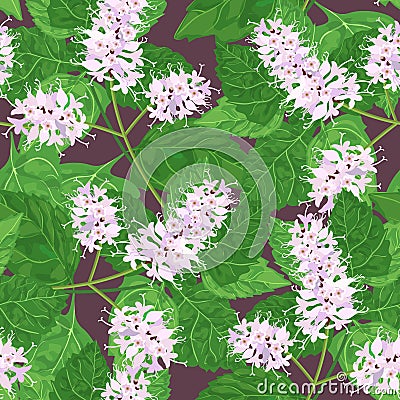 Patchouli seamless pattern. Vector Illustration