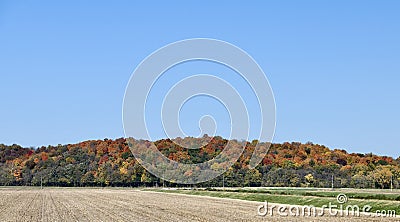 Patchwork Quilt Of Fall Foliage Stock Photo