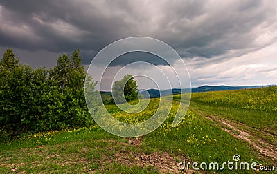 Path across the grassy hill Stock Photo