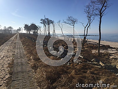 Path along Baltic coast Stock Photo