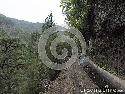 Path along levada, water duct at mysterious Laurel forest Laurisilva, lush subtropical rainforest at hiking trail Los Stock Photo