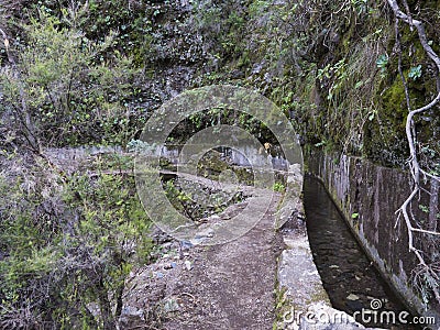 Path along levada, water duct at mysterious Laurel forest Laurisilva, lush subtropical rainforest at hiking trail Los Stock Photo