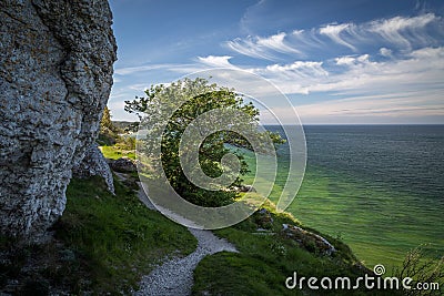 Path along the limestone cliffs along the west coast of Gotland, Sweden Stock Photo