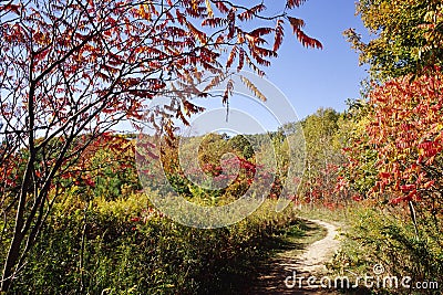 Path Along the Niagara Escarpment Stock Photo