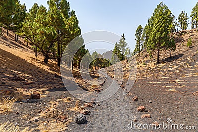 Path along Ruta de los Volcanes Stock Photo