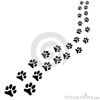 Path of animals black footprints, dog or cat path turns right on white background Vector Illustration