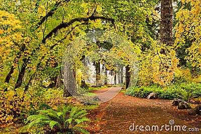 A path through autumn foliage forest in Silver Falls State Park, Oregon Stock Photo