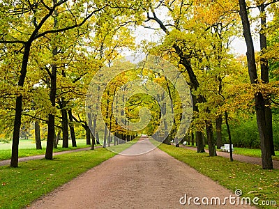 Path in the autumn Park going forward. Stock Photo