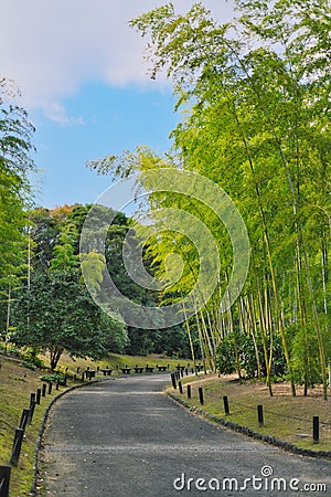 Path through bamboo in Japanese garden of Expo`70 commemorative park. Stock Photo