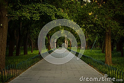 Pathway of Trees and Zen Stock Photo