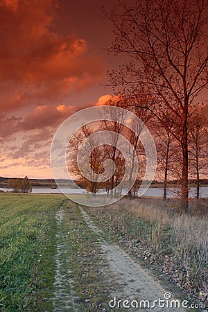 Path border by trees in front Stock Photo