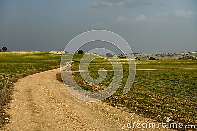 Path of the cereal pasture of the Sierra Oriental in Granada - Spain. Stock Photo