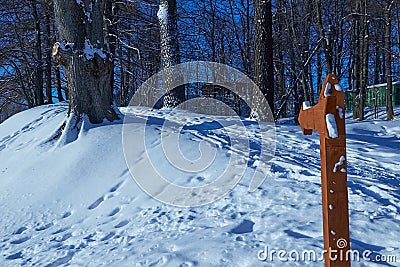 Path climbs uphill in winter forest Stock Photo