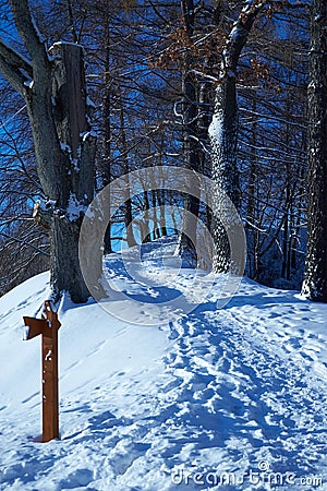 Path climbs uphill in winter forest Stock Photo