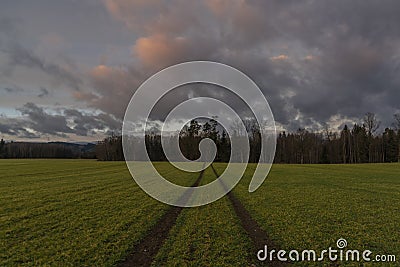 Path in color sunrise on green field near Vyhen village in south Bohemia Stock Photo