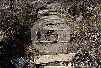 Path in the countryside staircase made of wooden beams and branches fixed to the ground using metal nails. gate of rebuttal of sta Stock Photo